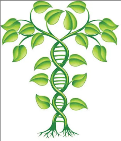 Methylation and You, some basic and applied science